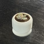 Mini Vaso para Suculentas - Slant