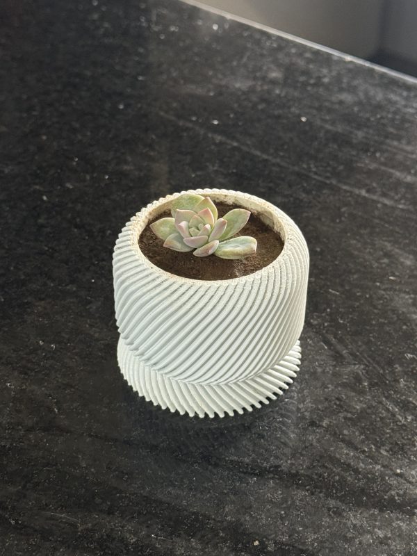 Vaso para suculentas mini com prato de drenagem Slant