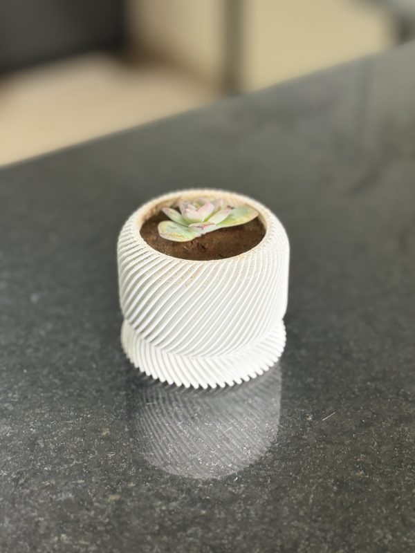 Vaso para Suculentas Mini com Prato de Drenagem - Slant